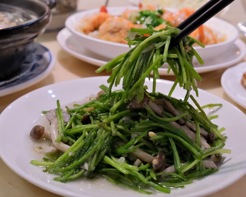 【大安美食推薦】家家客家菜～ 永康街美食30年老字號客家餐廳～台北客家菜必吃、東門捷運美食推薦