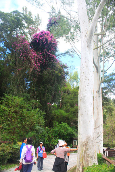 [桃園］慈湖 COACHEF CAFE卡契芬咖啡