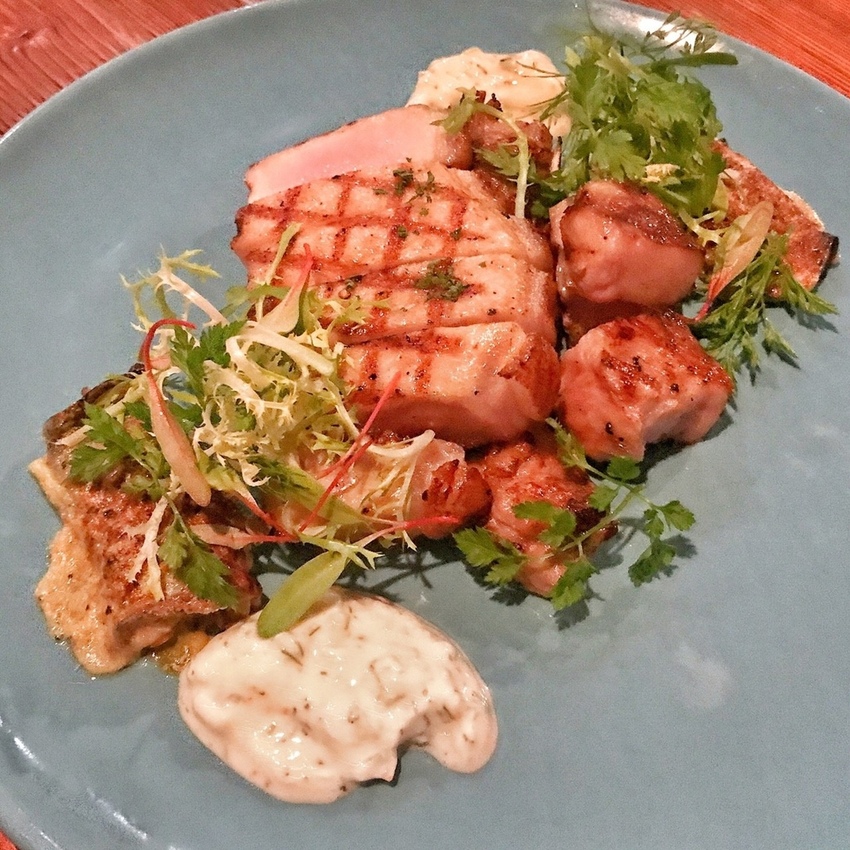 向_181217_0026.jpg 向_181217_0026.jpg