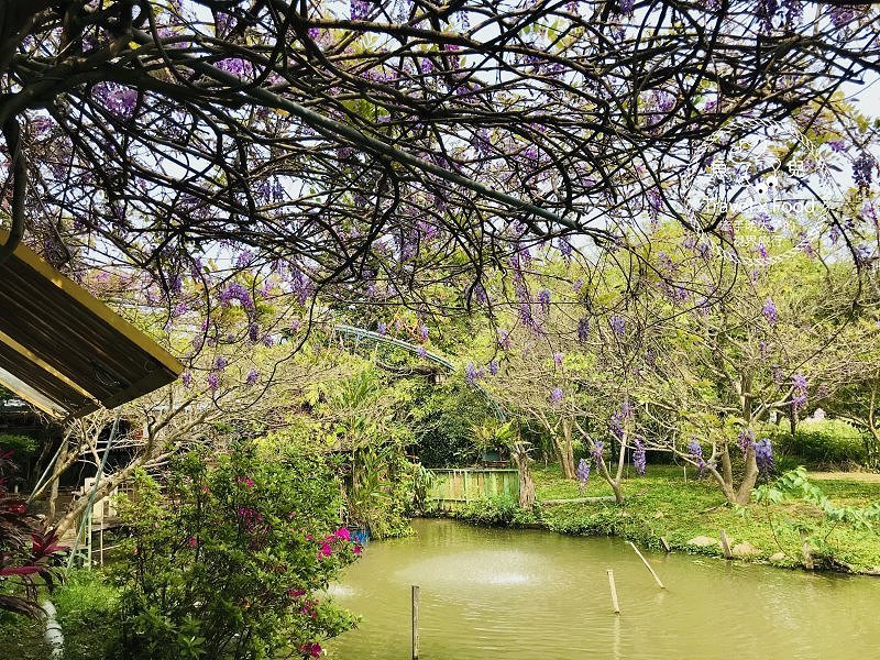 春來ㄌㄧㄠˇ，戲水、釣蝦、小火車，古早童玩玩一輪，活力健康農場控窯去！ @魚兒 x 牽手明太子的「視」界旅行