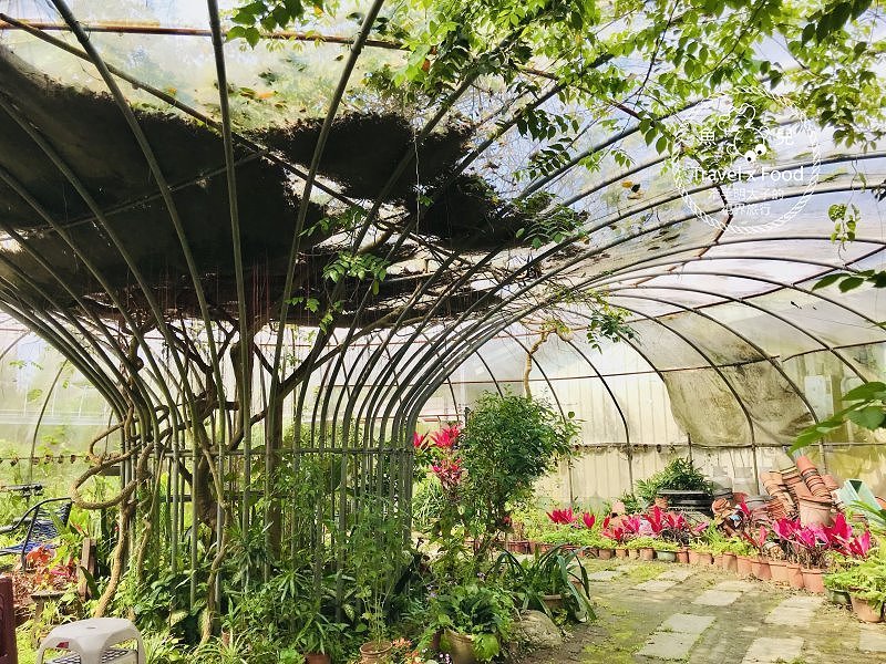 春來ㄌㄧㄠˇ，戲水、釣蝦、小火車，古早童玩玩一輪，活力健康農場控窯去！ @魚兒 x 牽手明太子的「視」界旅行