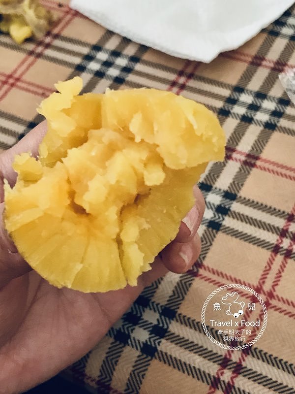 春來ㄌㄧㄠˇ，戲水、釣蝦、小火車，古早童玩玩一輪，活力健康農場控窯去！ @魚兒 x 牽手明太子的「視」界旅行