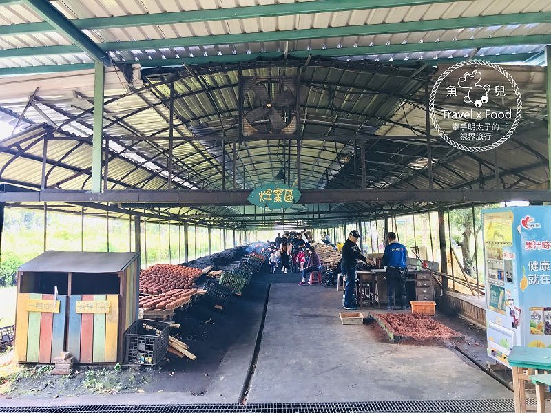 春來ㄌㄧㄠˇ，戲水、釣蝦、小火車，古早童玩玩一輪，活力健康農場控窯去！ @魚兒 x 牽手明太子的「視」界旅行