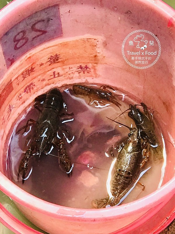 春來ㄌㄧㄠˇ，戲水、釣蝦、小火車，古早童玩玩一輪，活力健康農場控窯去！ @魚兒 x 牽手明太子的「視」界旅行