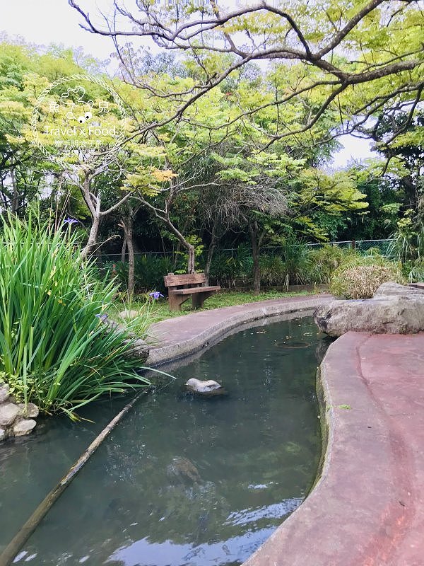 春來ㄌㄧㄠˇ，戲水、釣蝦、小火車，古早童玩玩一輪，活力健康農場控窯去！ @魚兒 x 牽手明太子的「視」界旅行