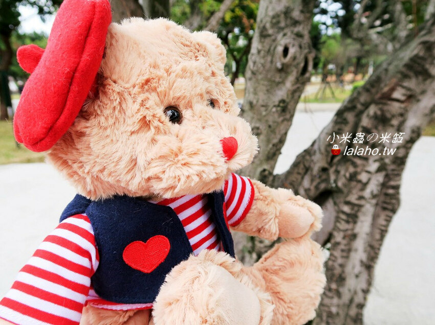 GODIVA限量「情人節小熊連5顆裝巧克力禮盒」