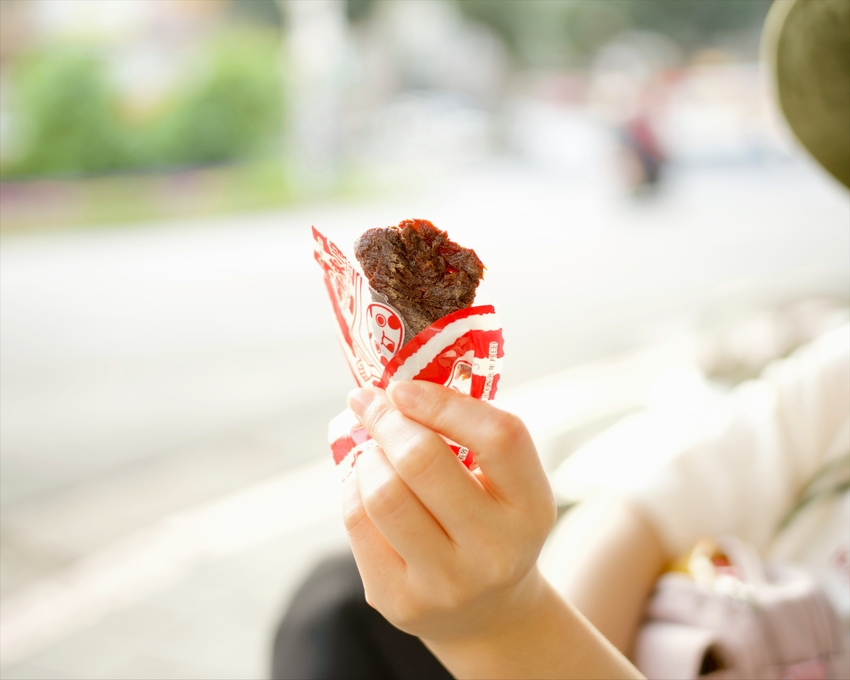 新東陽肉乾推薦|從小吃到大的牛肉乾、豬肉乾|PTT高人氣經典肉乾