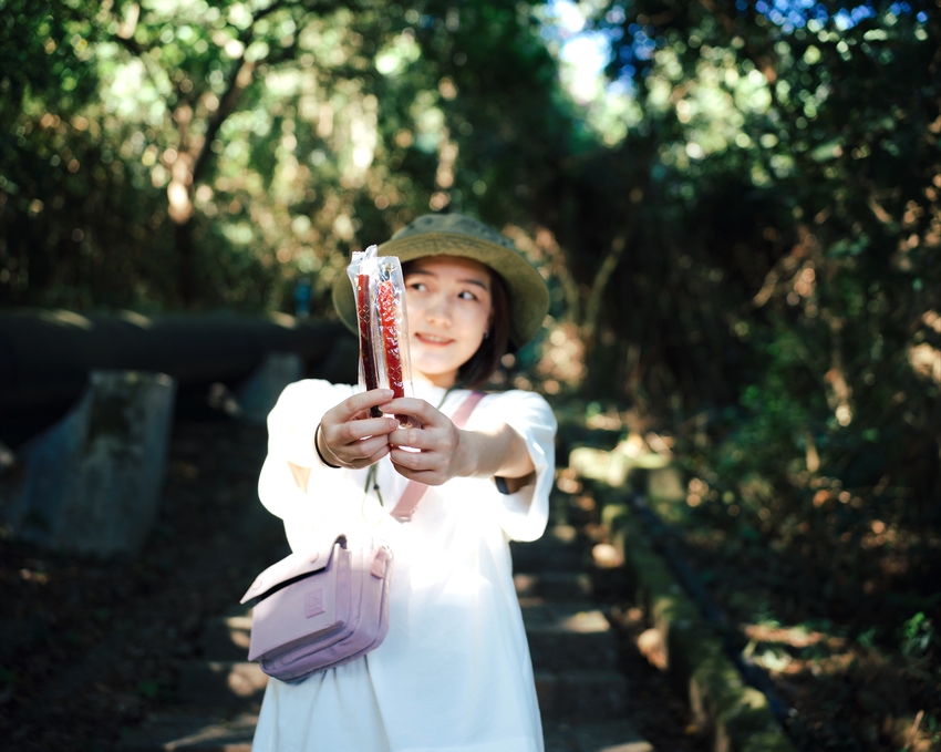 新東陽肉乾推薦|從小吃到大的牛肉乾、豬肉乾|PTT高人氣經典肉乾