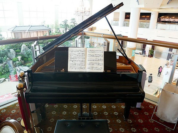 Kaffee Amadeus阿瑪迪斯咖啡館:Kaffee Amadeus阿瑪迪斯咖啡館-台北大安區咖啡館 SOGO復興館別緻景觀餐廳 餐點高水準 從頭到尾不踩雷