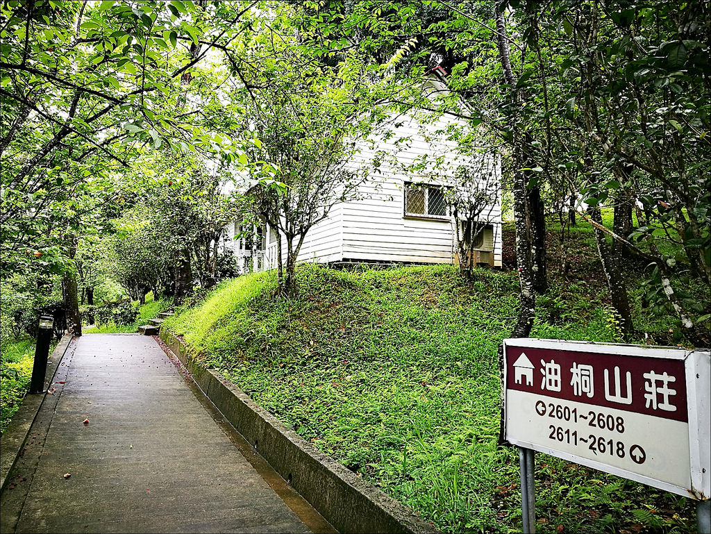 IMG_20170520_092856 IMG_20170520_092856