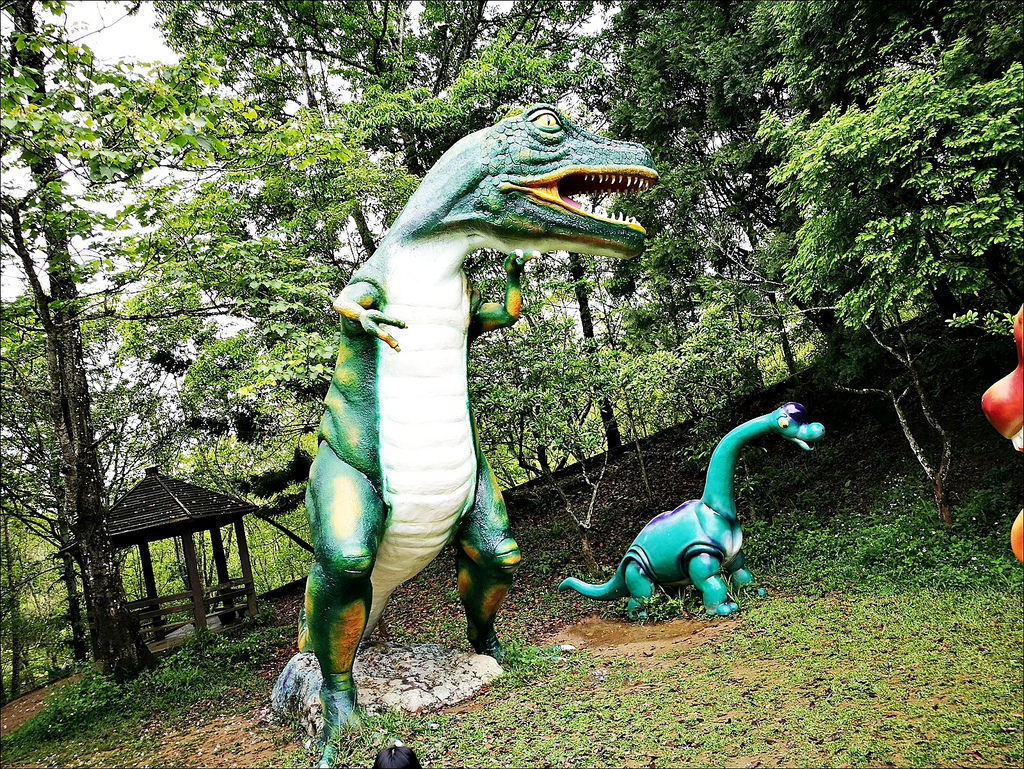 IMG_20170520_095130 IMG_20170520_095130