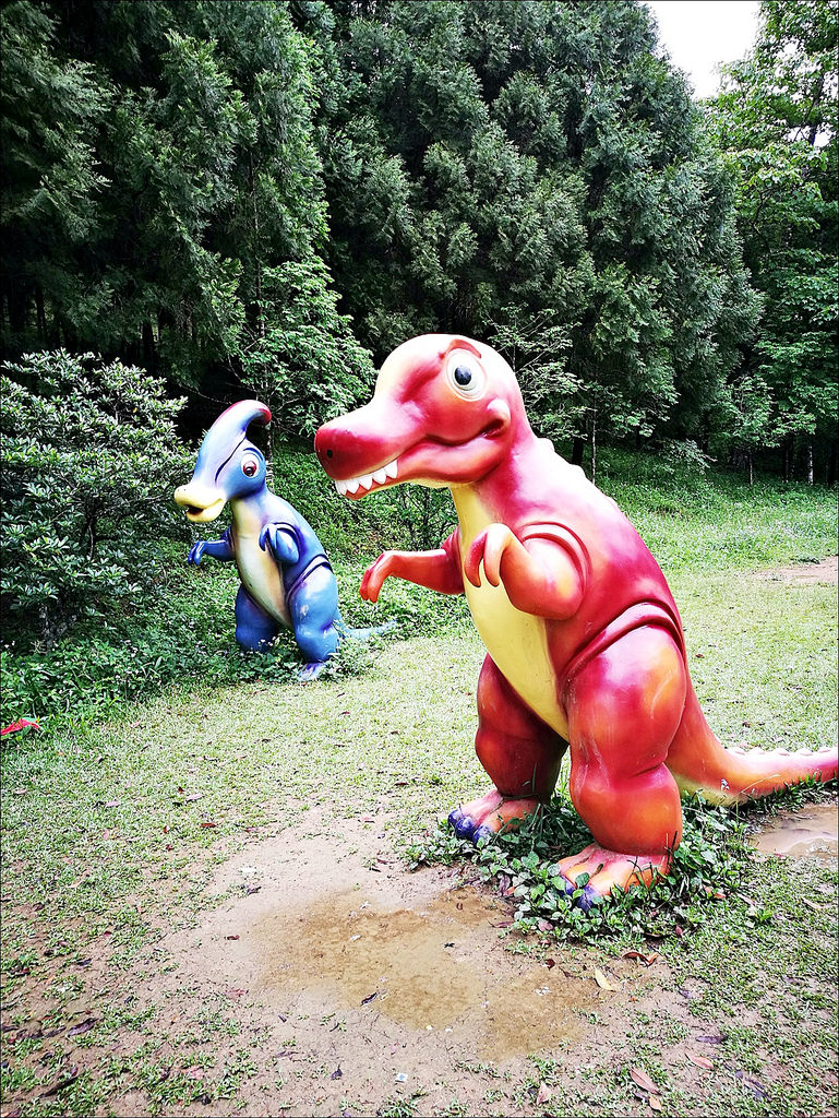 IMG_20170520_095052 IMG_20170520_095052