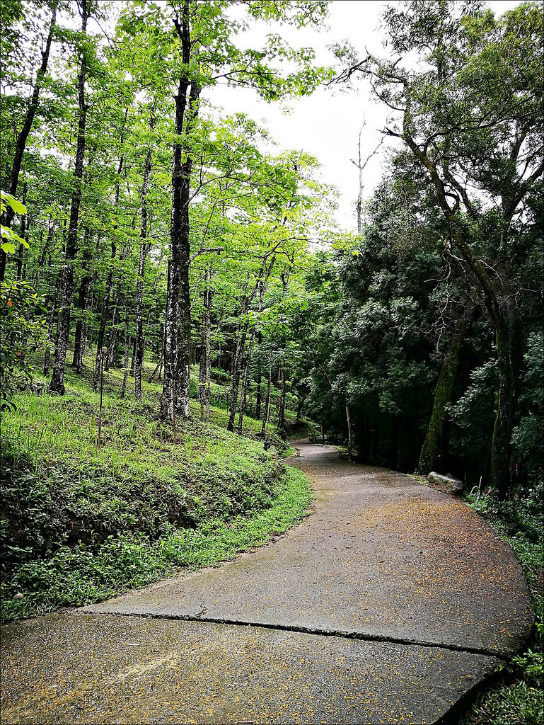 IMG_20170520_094559 IMG_20170520_094559