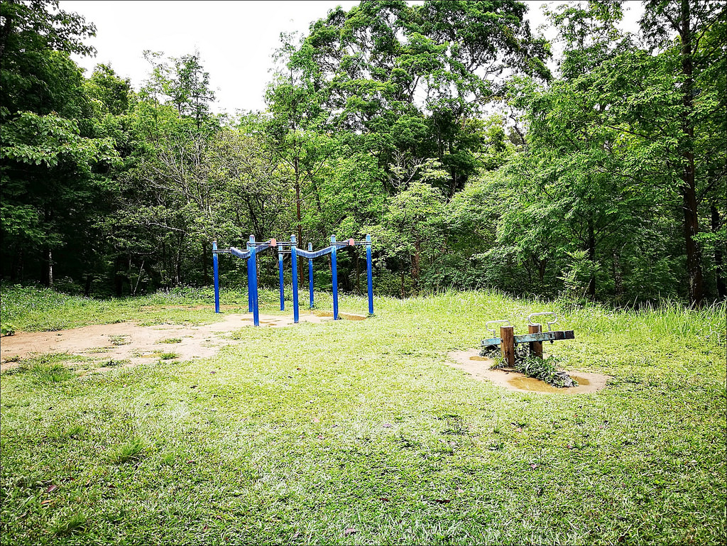 IMG_20170520_095007 IMG_20170520_095007