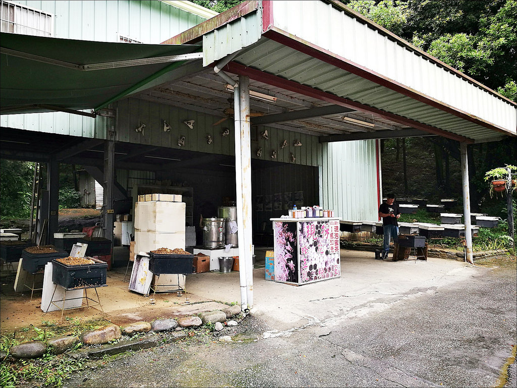 IMG_20170520_093241 IMG_20170520_093241