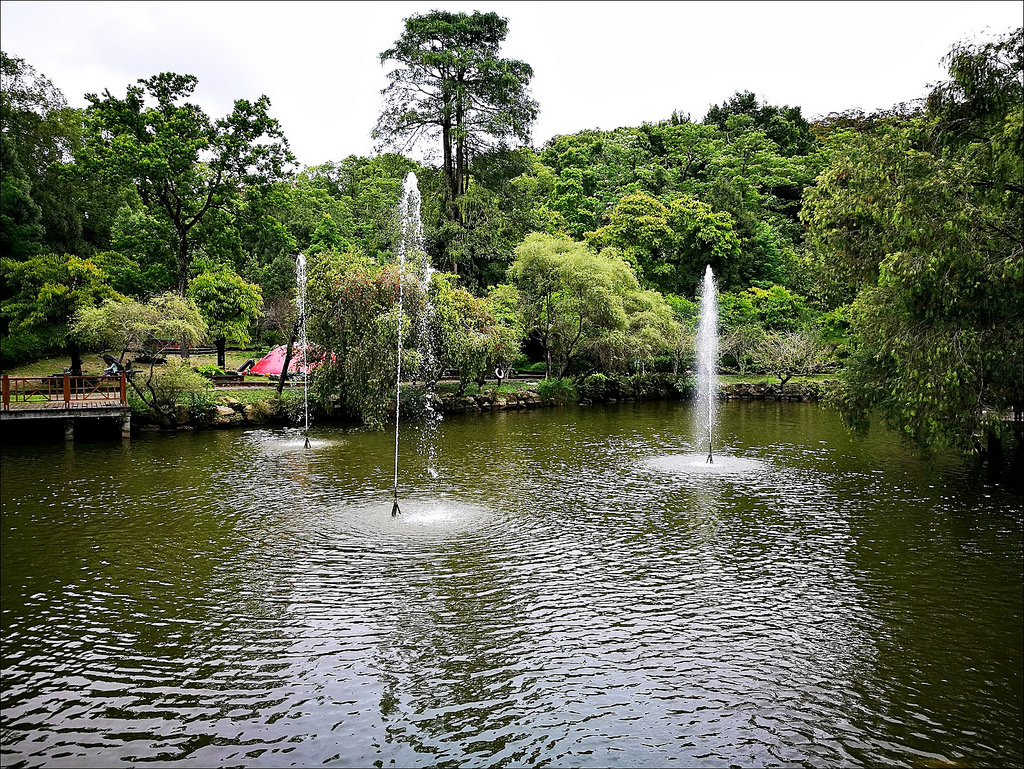 IMG_20170520_103743 IMG_20170520_103743