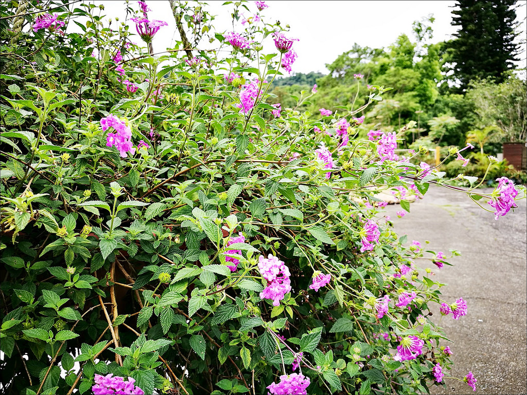 IMG_20170520_103453 IMG_20170520_103453