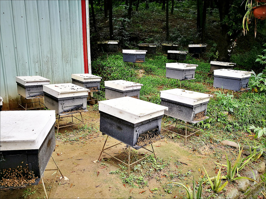 IMG_20170520_093345 IMG_20170520_093345