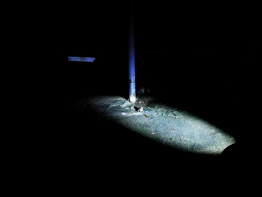 IMG_20170519_193956 IMG_20170519_193956