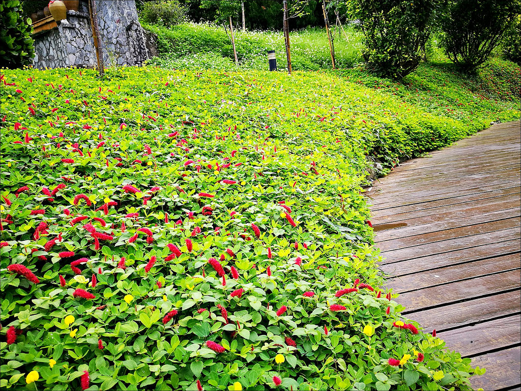 IMG_20170520_103800 IMG_20170520_103800