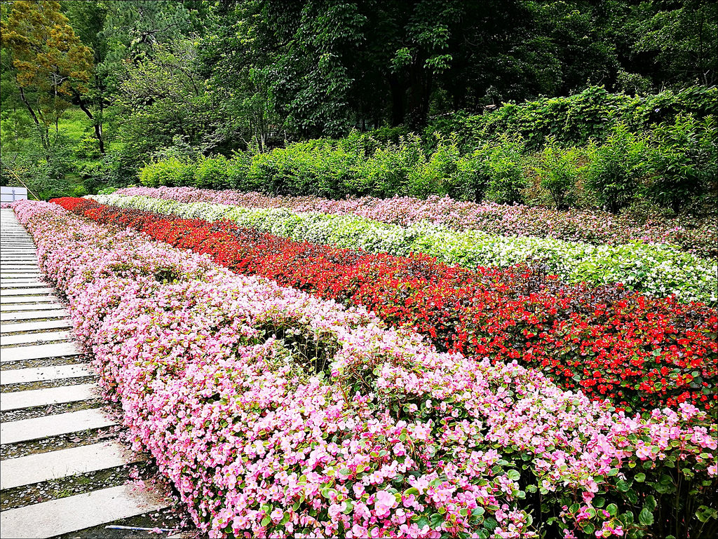 IMG_20170520_111529 IMG_20170520_111529