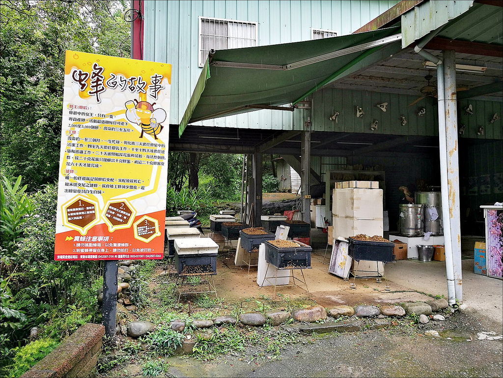 IMG_20170520_093237 IMG_20170520_093237