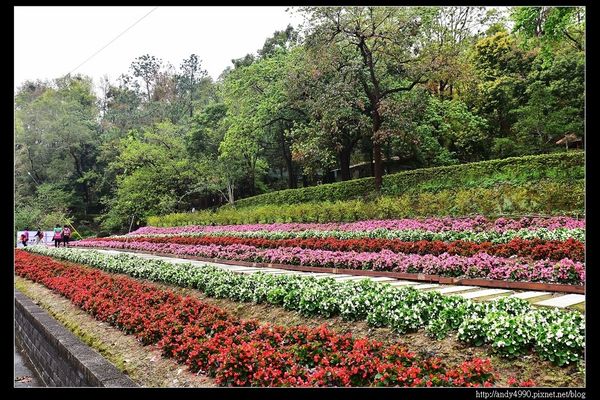 20160312東勢林場18 20160312東勢林場18