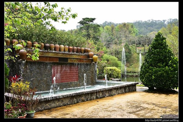 20160312東勢林場8 20160312東勢林場8