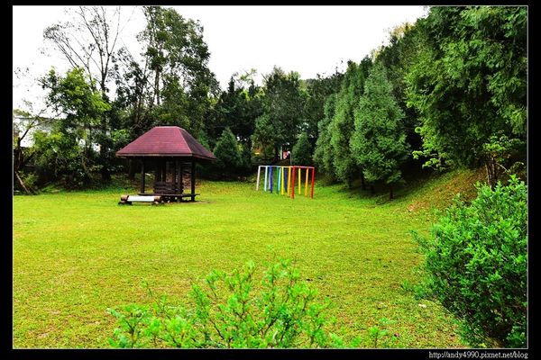 20160312東勢林場14 20160312東勢林場14