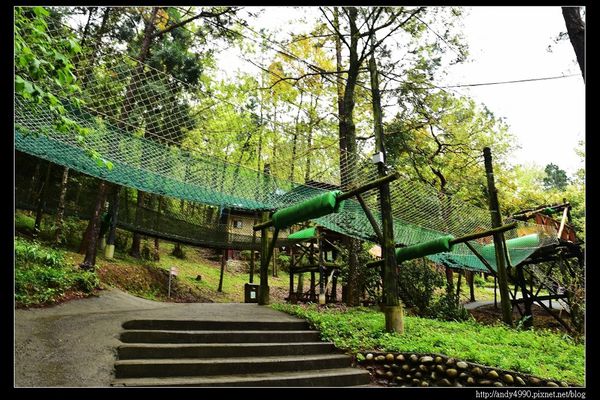 20160312東勢林場19 20160312東勢林場19