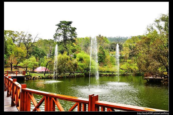 20160312東勢林場10 20160312東勢林場10