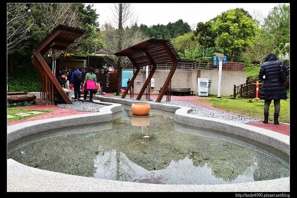 20160312東勢林場12 20160312東勢林場12