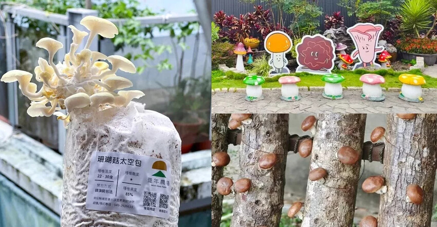 南投埔里小吃推薦「胡國雄古早麵」切仔麵 魯肉飯再訪依然爆棚。