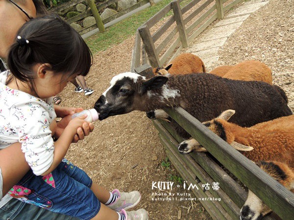 2018-3-18飛牛牧場 (35).jpg 2018-3-18飛牛牧場 (35).jpg