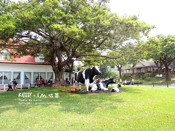 2018-3-18飛牛牧場 (5).jpg 2018-3-18飛牛牧場 (5).jpg