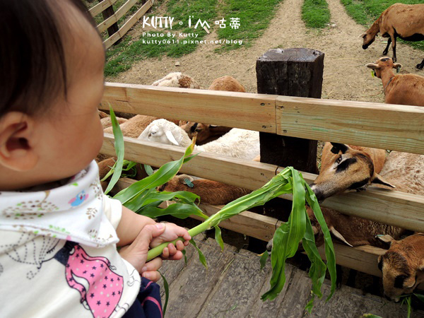 2018-3-18飛牛牧場 (26).jpg 2018-3-18飛牛牧場 (26).jpg