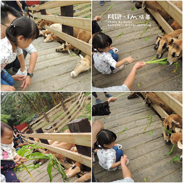 2018-3-18飛牛牧場 (27).jpg 2018-3-18飛牛牧場 (27).jpg