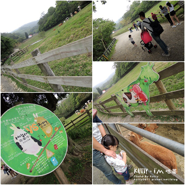 2018-3-18飛牛牧場 (24).jpg 2018-3-18飛牛牧場 (24).jpg