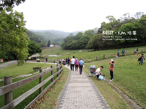 2018-3-18飛牛牧場 (12).jpg 2018-3-18飛牛牧場 (12).jpg