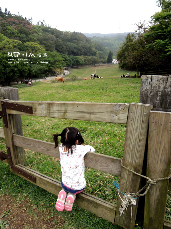 2018-3-18飛牛牧場 (18).jpg 2018-3-18飛牛牧場 (18).jpg