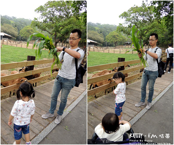 2018-3-18飛牛牧場 (31).jpg 2018-3-18飛牛牧場 (31).jpg