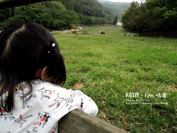 2018-3-18飛牛牧場 (19).jpg 2018-3-18飛牛牧場 (19).jpg