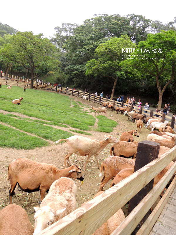 2018-3-18飛牛牧場 (28).jpg 2018-3-18飛牛牧場 (28).jpg