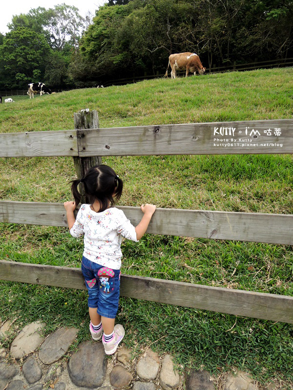 2018-3-18飛牛牧場 (22).jpg 2018-3-18飛牛牧場 (22).jpg