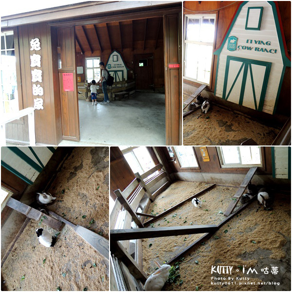 2018-3-18飛牛牧場 (39).jpg 2018-3-18飛牛牧場 (39).jpg