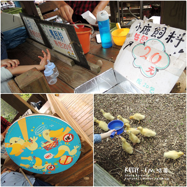 2018-3-18飛牛牧場 (34).jpg 2018-3-18飛牛牧場 (34).jpg