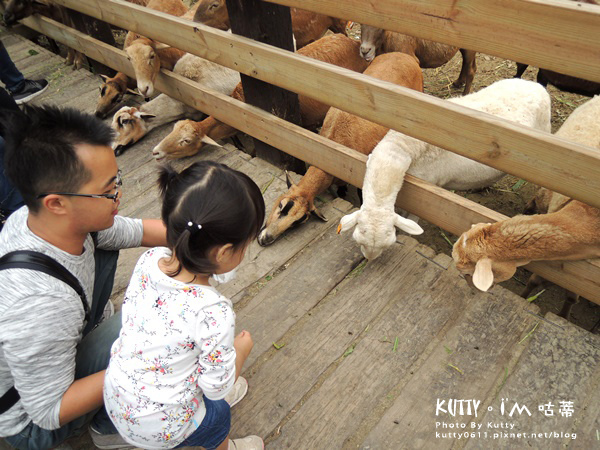 2018-3-18飛牛牧場 (25).jpg 2018-3-18飛牛牧場 (25).jpg