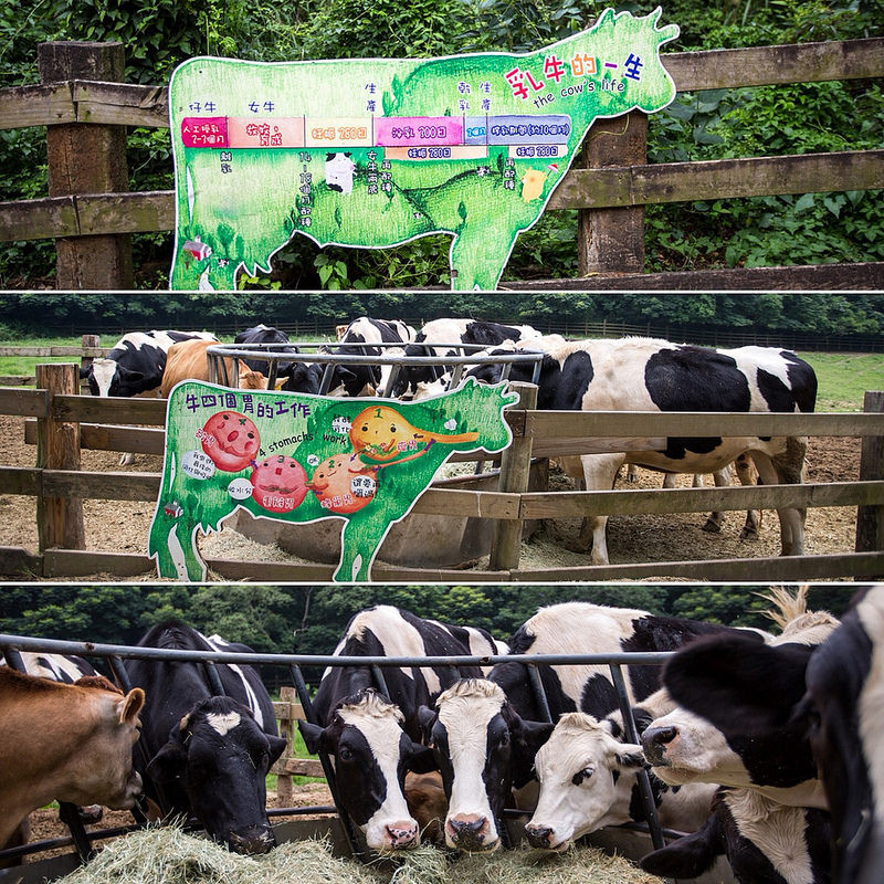 S__107372548 S__107372548