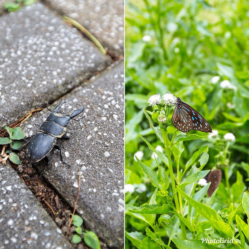 S__107372546 S__107372546