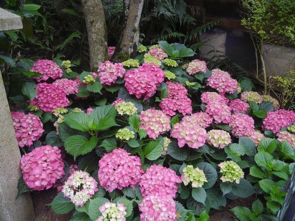 tn_P1260458.JPG tn_P1260458.JPG